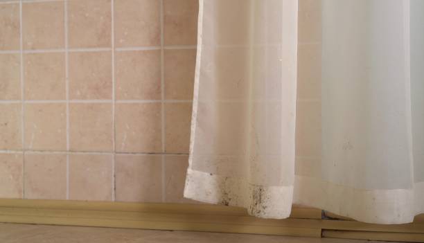 Best Environmental Consulting for Mold Prevention  in Holualoa, HI
