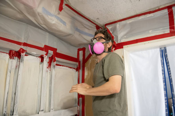 Best Emergency Mold Remediation  in Holualoa, HI