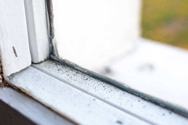 Best Air Quality Testing for Mold Spores  in Holualoa, HI