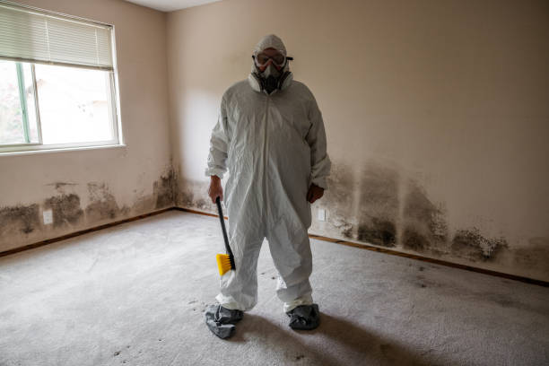 Best Commercial Mold Inspection  in Holualoa, HI