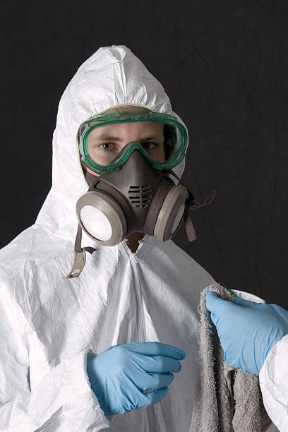 Best Mold Removal for HVAC Installations  in Holualoa, HI